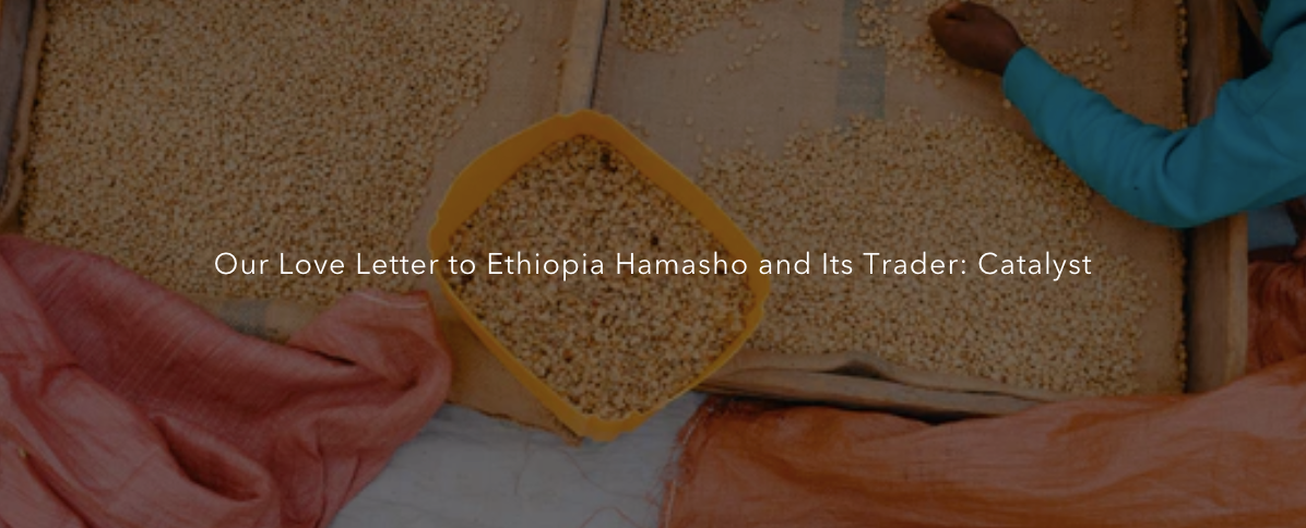 Our Love Letter to Ethiopia Hamasho and Its Trader: Catalyst