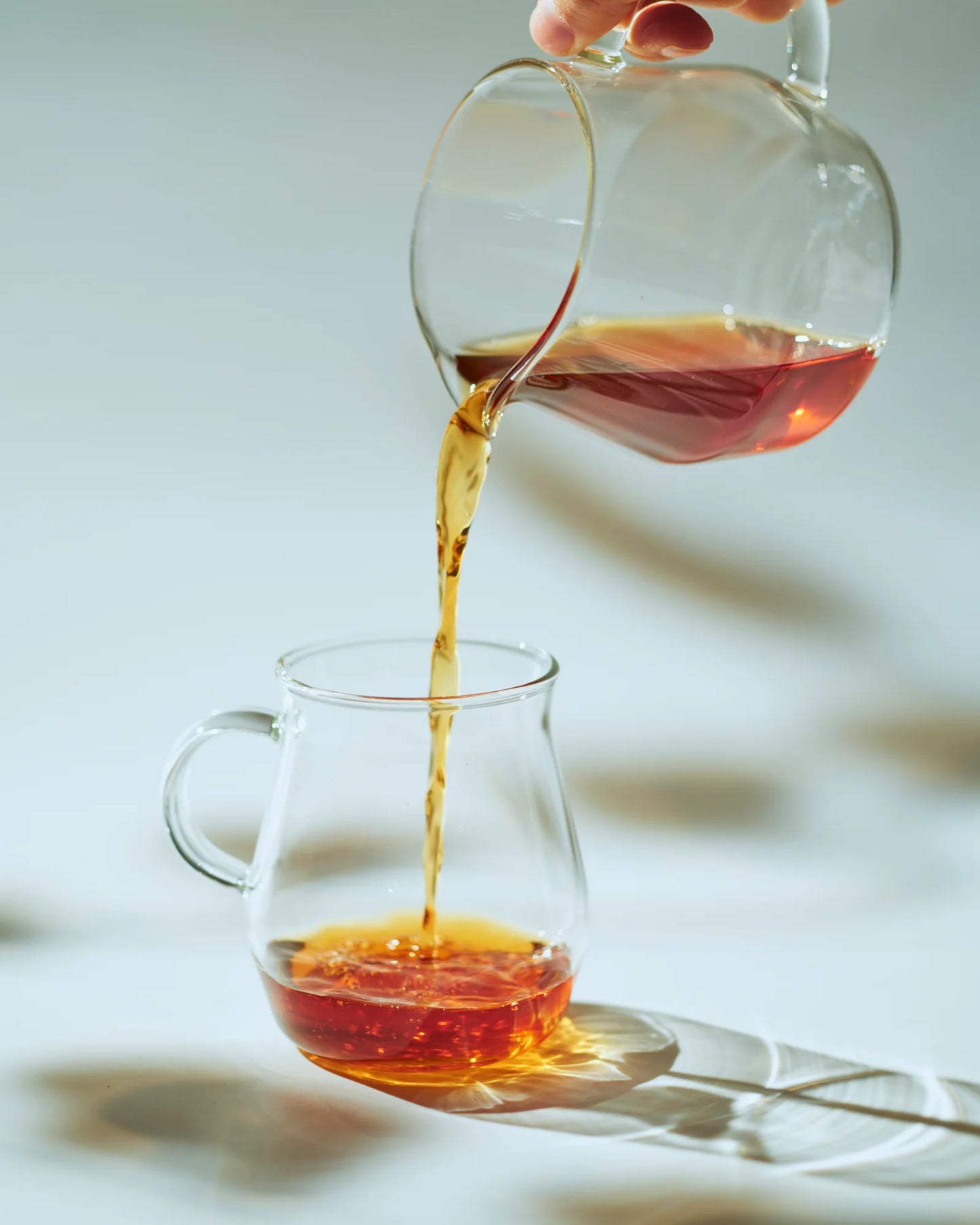TORCH Pitchii Glass Mug