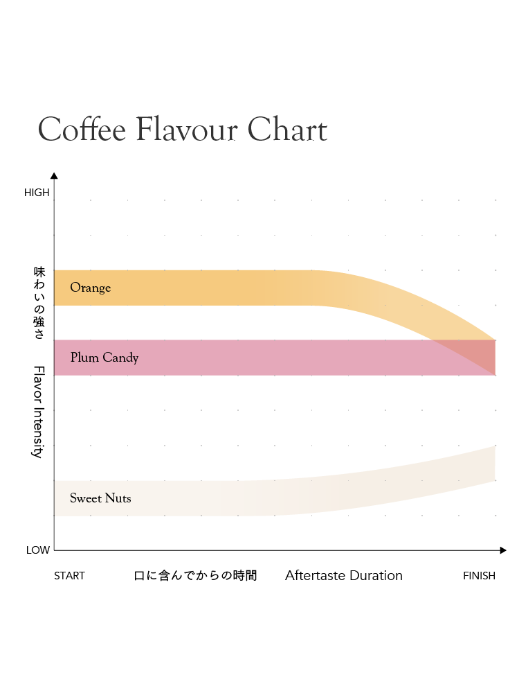 Kurasu Drip Coffee Bag - FAF Medium [Medium roast]