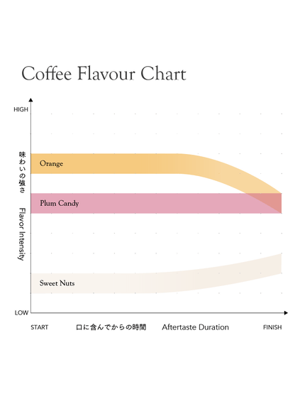 Kurasu Drip Coffee Bag - FAF Medium [Medium roast]