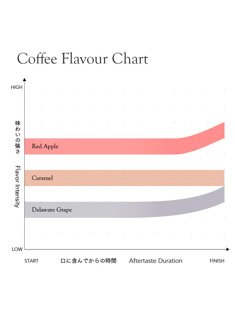 Seasonal Blend Haru Kochi 2026 [Medium roast]