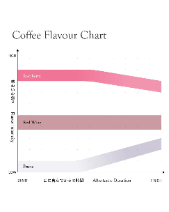 El Salvador Don Jaime (Medium-Light Roast)
