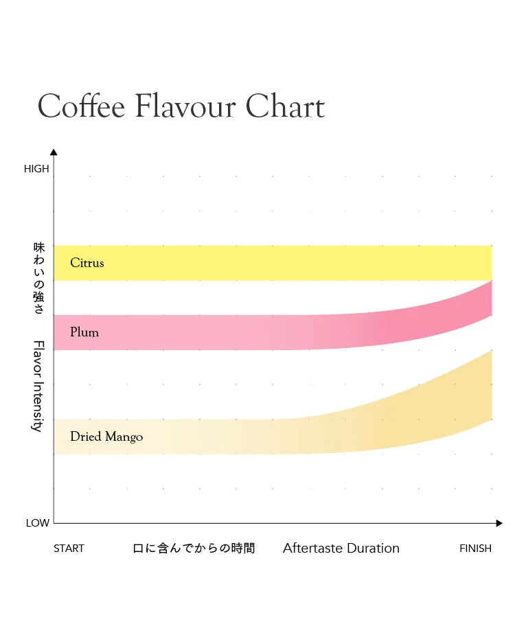 Indonesia Frinsa Estate Weninggalih [Light roast]